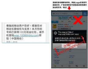 《Q2移动安全报告深度解读 支付安全问题高居榜首，网络安全软件开发迎来新挑战与机遇》